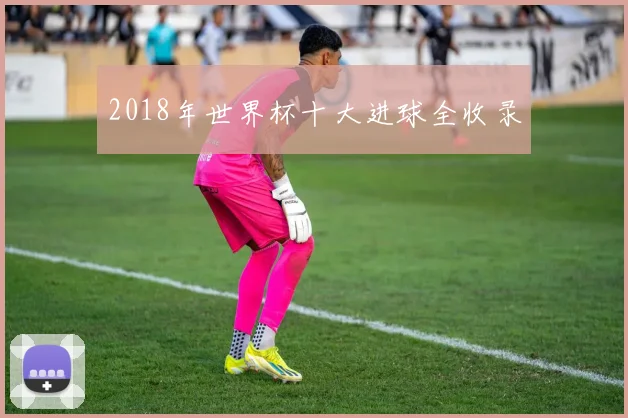 2018年世界杯十大进球全收录