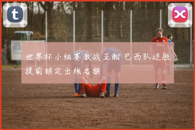 世界杯小组赛激战正酣 巴西队连胜提前锁定出线名额