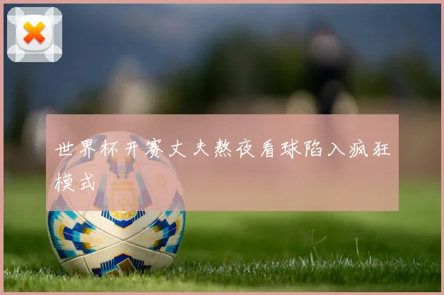 世界杯开赛丈夫熬夜看球陷入疯狂模式