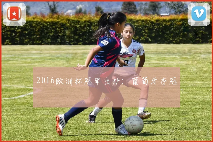 2016欧洲杯冠军出炉:葡萄牙夺冠
