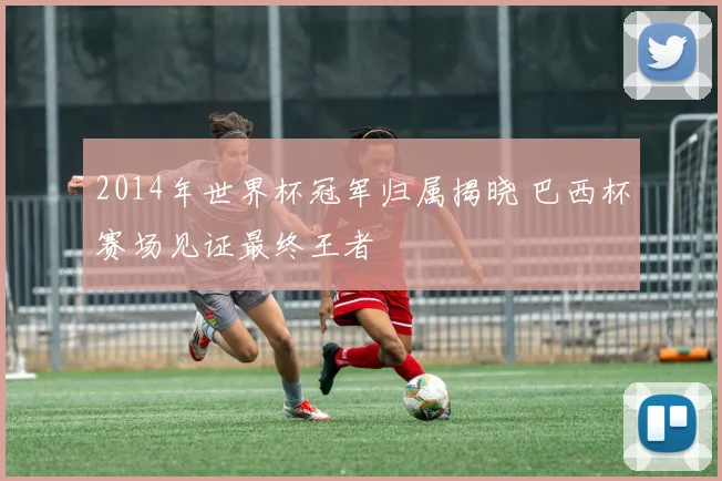 2014年世界杯冠军归属揭晓 巴西杯赛场见证最终王者