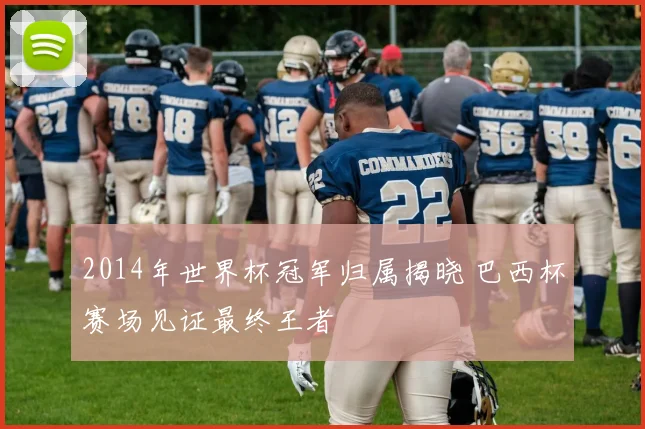 2014年世界杯冠军归属揭晓 巴西杯赛场见证最终王者